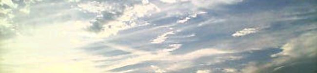 ku-mamu's header image