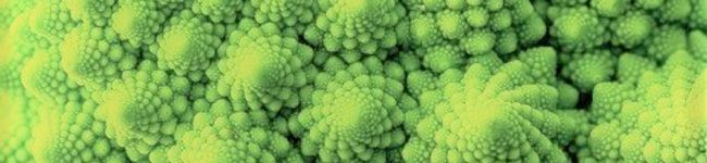 管理栄養士Davis's header image