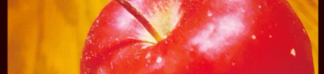 nonkabigon's header image