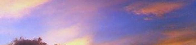 ひまあみぃ's header image
