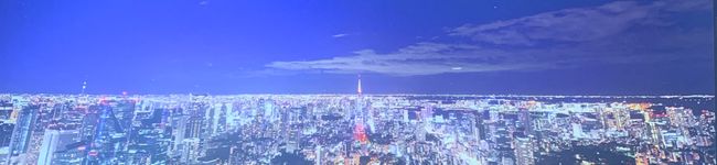 makimakiの木's header image