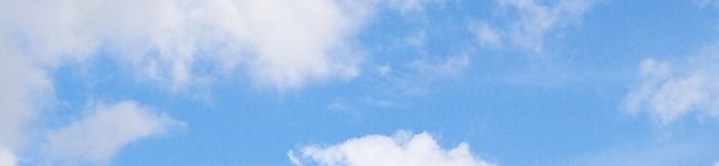 ☆ペペコ☆'s header image