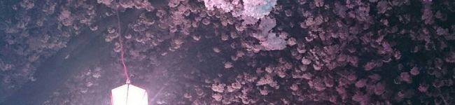 りおmama♡'s header image