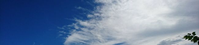 とらぽん123's header image