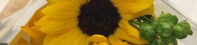 Mariririnn's header image