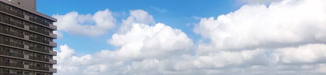 すみにゃんごろ's header image