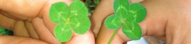 Az♡Cook's header image
