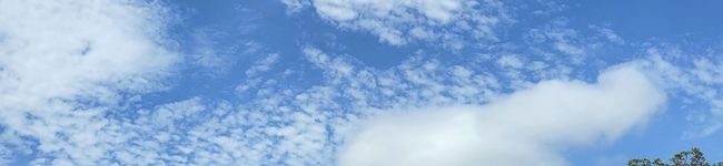 わんぱく２児のママ's header image