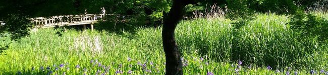 snowpad's header image