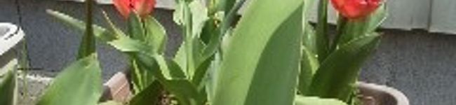 クックIZ7UN7☆'s header image