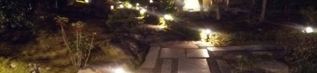 t_m0505's header image