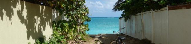 EveLove's header image