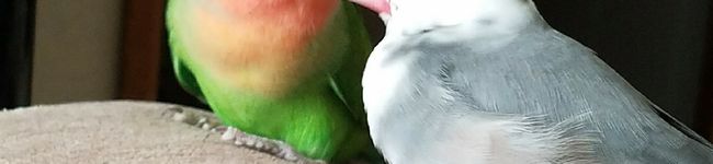 優ﾏﾏ's header image