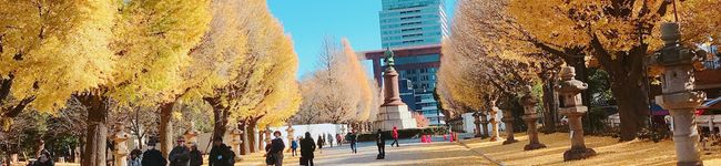 悠佳☆'s header image