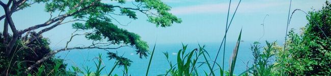 SORA○TUKI☆'s header image
