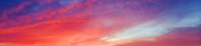 azbjbn's header image