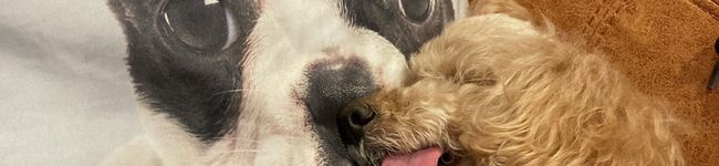 Happycoku's header image