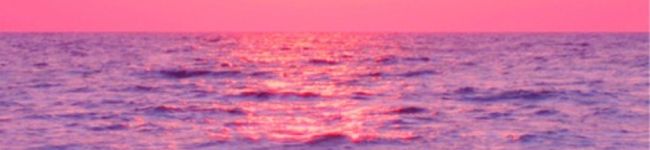 ✰Mai✰'s header image