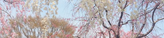 ♡NyomCham♡'s header image