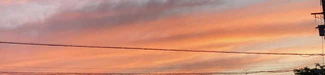 大阪のちゃーちゃん's header image