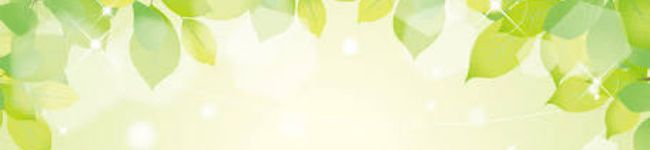 noorth's header image