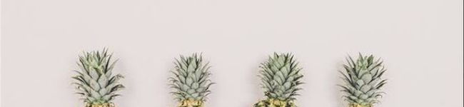 にっしょく's header image