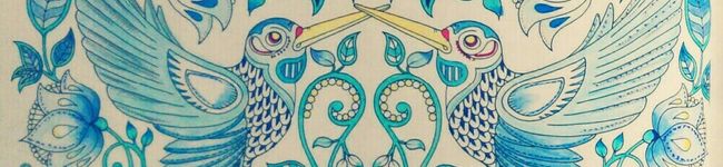 いさ樹's header image