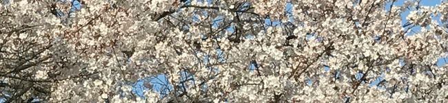 いどA's header image
