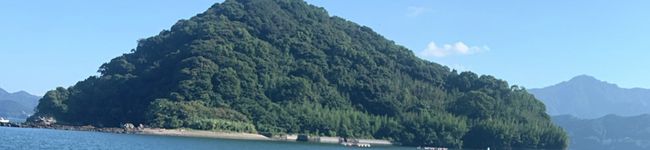 さばけない魚屋の妻's header image