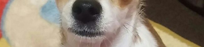 桃太朗0131's header image