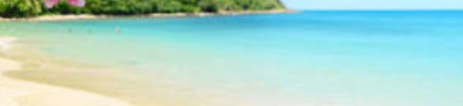 machako319's header image