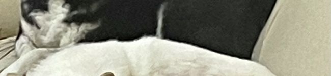 mikimisa's header image