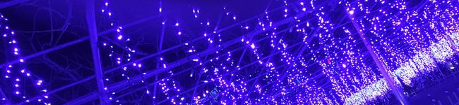 ＊かんかんママ＊'s header image