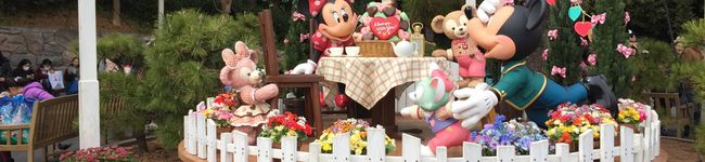 ＊のんクック＊'s header image
