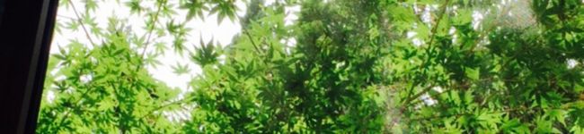 Citron∞'s header image