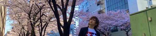 Dのんちゃん's header image