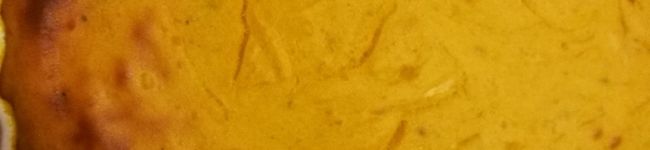 あやぽんキッチン's header image