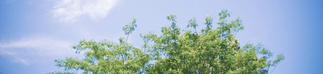 yukatofika's header image