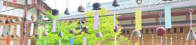 楽し隊's header image
