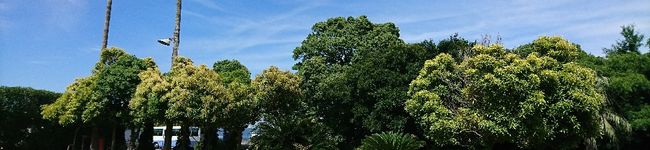 hijuu's header image