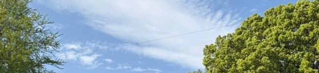 ツキ's header image