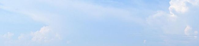 花カフェ's header image