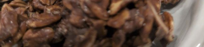 フエラムネ's header image