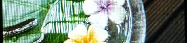 きぃてるばあば's header image