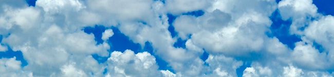 Mariko's header image