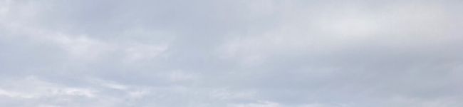 🫯's header image