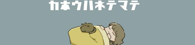 ちぃちゃん's header image