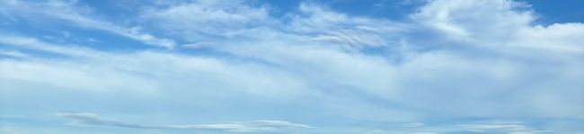 amicakenbo's header image