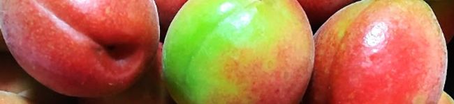 guzavie's header image