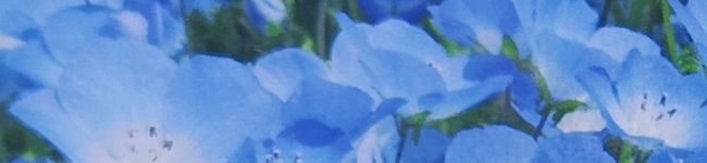 hot_cook's header image